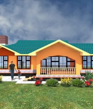 one storey house design
